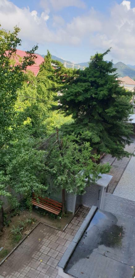 Exclusive Hortensiei Baia Mare Exterior foto